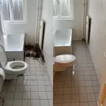 Vorher und nachher Badezimmerreinigung.