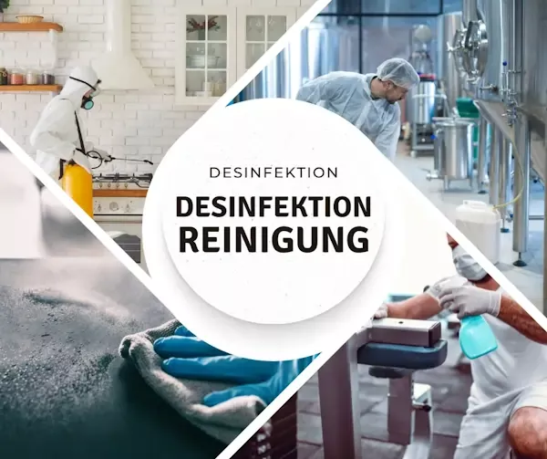 Home 29 Desinfektionsreinigung Berlin. Desinfektion und das gründlich.