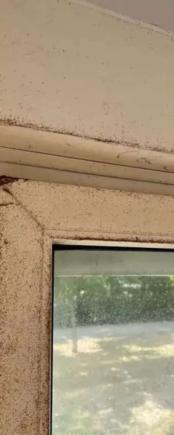 Die Fensterreinigung. So schmutzig, war das Fenster vorher.