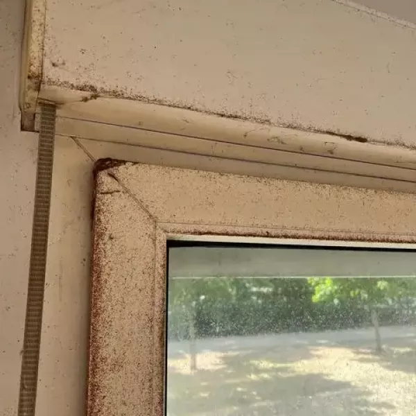 Die Fensterreinigung. So schmutzig, war das Fenster vorher.